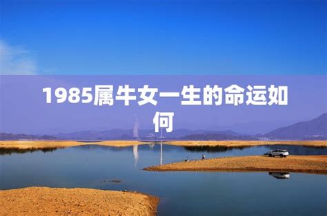 1985年是什么命|1985年属牛是什么命 1985年属牛的是什么命